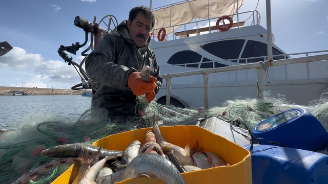 Van Gölü'nde inci kefali için av yasağı: Kaçak avlanmanın cezası 16 bin TL
Van Gölü'nde inci kefali av yasağı bu gece başlıyor