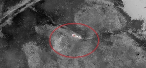 Kaybolan gebe inek, doğum yapmış halde AFAD ekiplerince bulundu