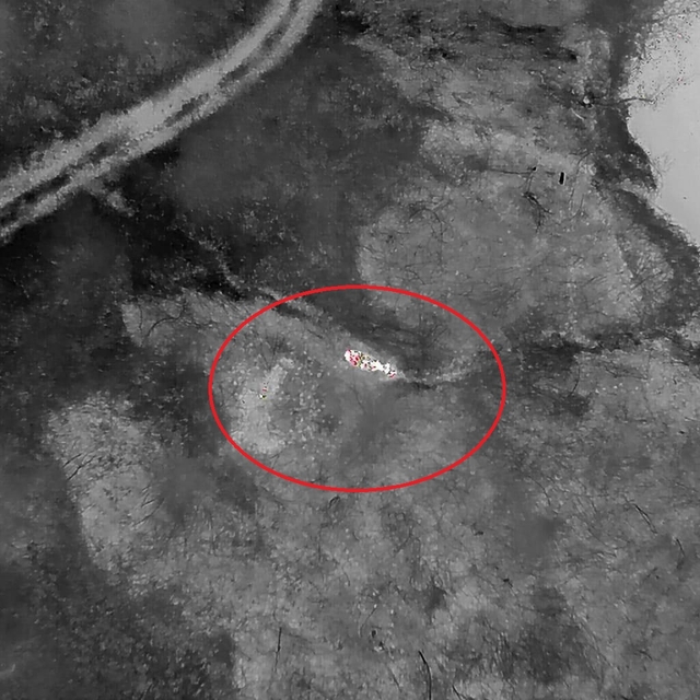 Kaybolan gebe inek, doğum yapmış halde AFAD ekiplerince bulundu