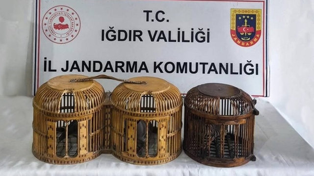 Iğdır'da kaçak olarak keklik avlayan 3 kişiye 72 bin 829 lira ceza uygulandı