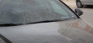 Aydın’da toz taşınımı bekleniyor