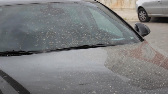 Aydın'da toz taşınımı bekleniyor