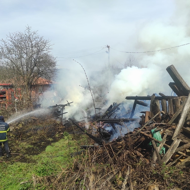 Araç yangını odunluğa sıçradı