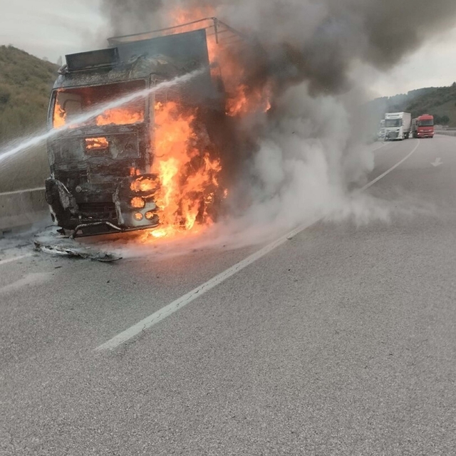 Seyir halindeki TIR alev alev yandı