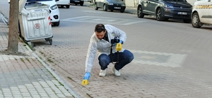 Bafra’da "kız meselesi" kavgası: 1 yaralı