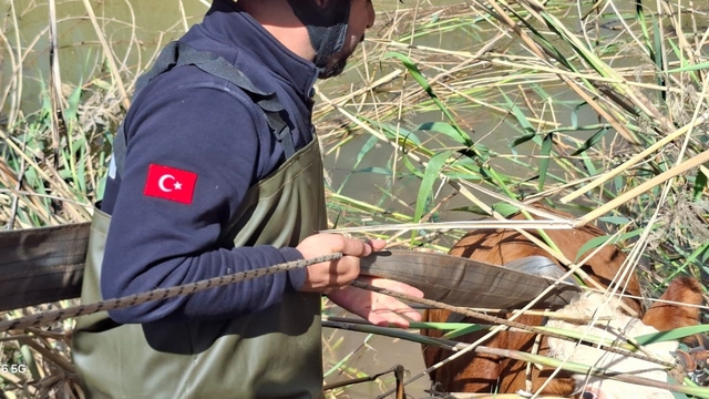 Şanlıurfa'da tahliye kanalına düşen 2 inek kurtarıldı