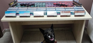 Kayseri'de 158 paket bandrolsüz sigara ile 300 paket elektronik sigara kartuşu ele geçirildi