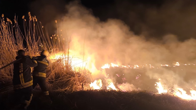 Erzincan'da anız yangını korkuttu