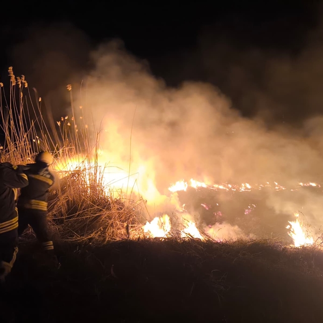 Erzincan'da anız yangını korkuttu