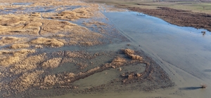 Akşehir Gölü'nde yıllardır görülmeyen oldu