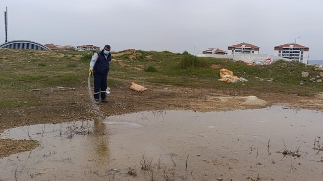 Edirne'den kısa kısa