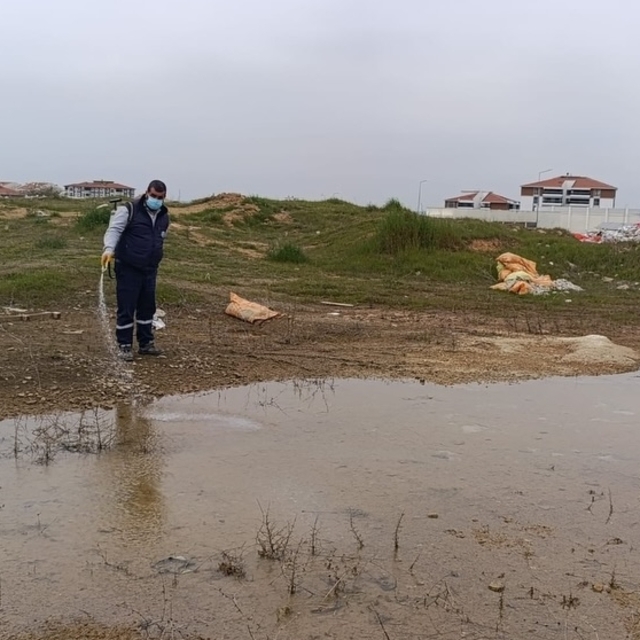 Edirne'den kısa kısa