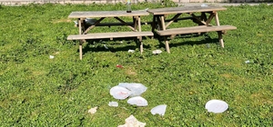 Tarihi alan çöplüğe döndü