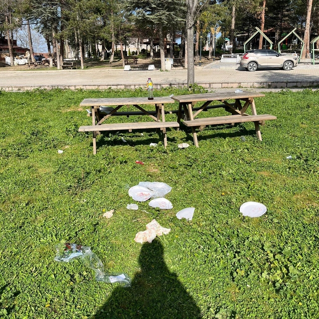 Tarihi alan çöplüğe döndü