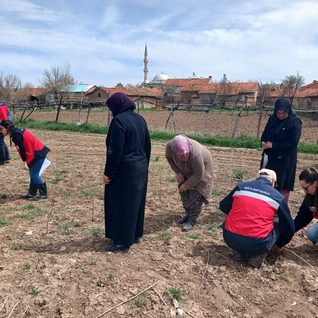Aslanapa'da çiftçilere yönelik eğitim ve saha çalışmaları gerçekleştirildi