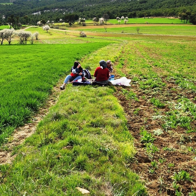 Hisarcık'ta tarımsal saha çalışmaları yapıldı