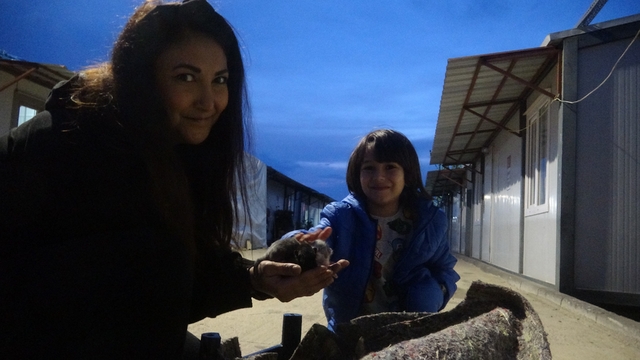 Su kanalında doğum yapan kedi ve 3 yavrusunun yeni yuvası depremzede ailenin konteyneri oldu