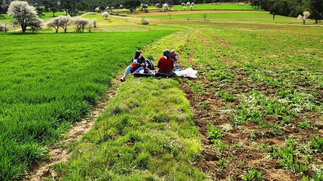 Hisarcık'ta tarımsal saha çalışmaları yapıldı