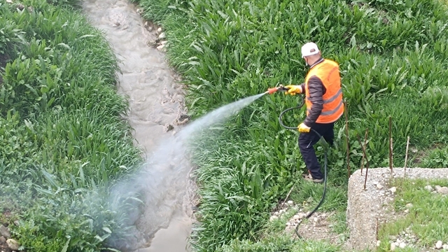 Kahta Belediyesi'nden haşerelere karşı yoğun mücadele