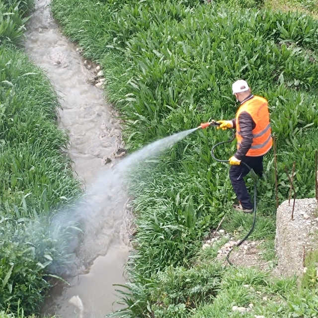 Kahta Belediyesi'nden haşerelere karşı yoğun mücadele