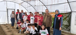 Demirkent TOKİ İlkokulu’nda öğrenciler serada fide dikti