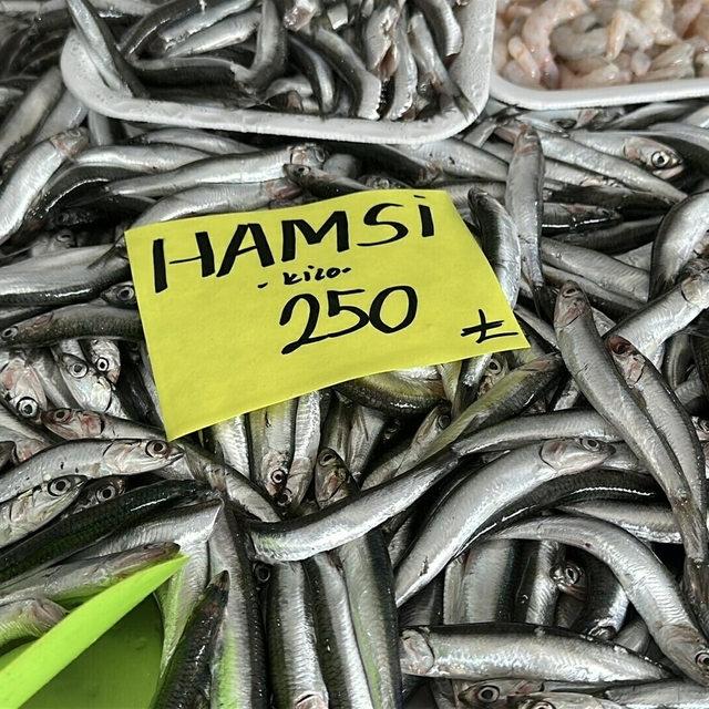 'Balıkta hızlı avcılık pek çok sıkıntıyı beraberinde getirdi'