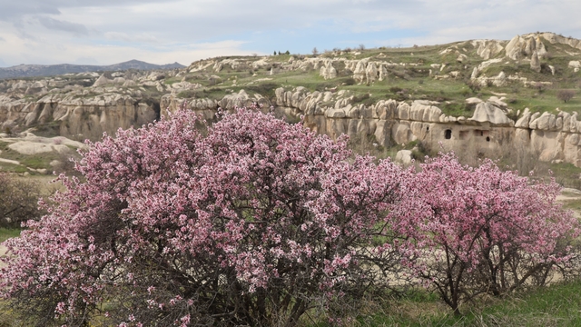 Kapadokya renklendi
Kapadokya'daki renk cümbüşü havadan görüntülendi