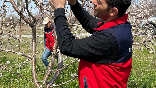 Zirai don uyarısı sonrası hasar tespit çalışması yapıldı