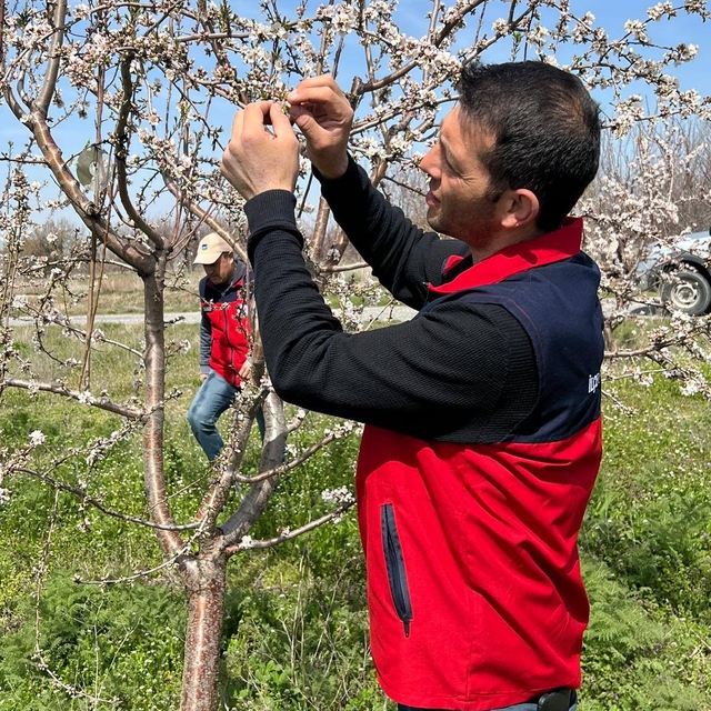 Zirai don uyarısı sonrası hasar tespit çalışması yapıldı