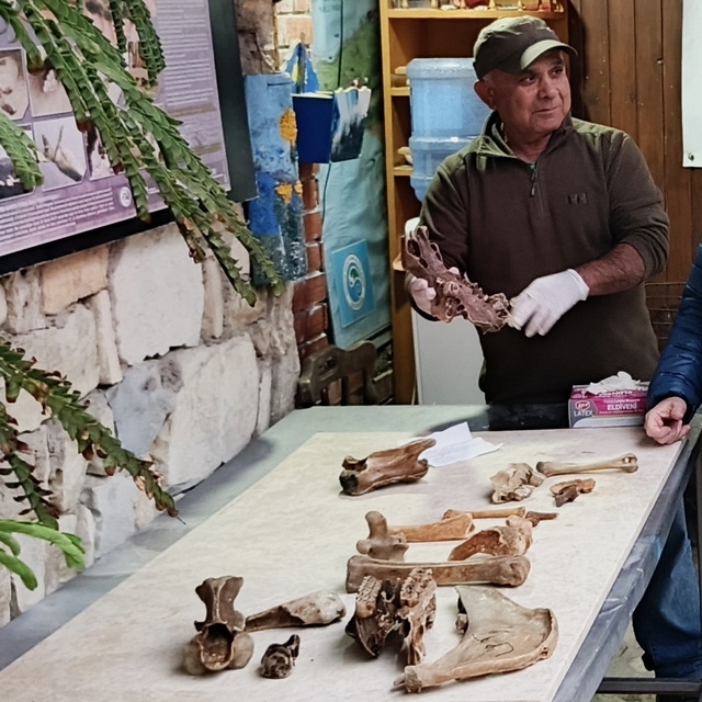 Kuşadası kıyılarında fırtına sonrası ortaya çıkan kemikler incelendi