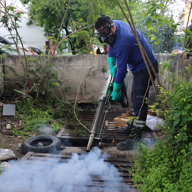 Büyükşehir'den sinek üreme alanlarında yoğun çalışma