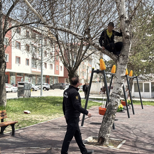 Topu almak için çıktığı ağaçtan inemeyen çocuk itfaiyeden yardım istedi