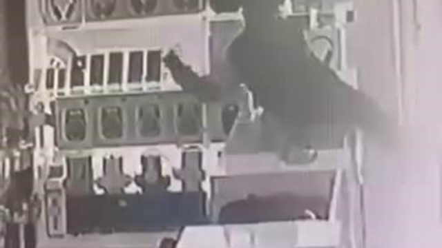 Böyle hırsızlık görülmedi: Masanın üstüne çıkıp vitrindeki telefonları alarak kaçtı