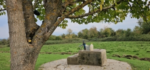Cesedi su kuyusunda bulunan 17 yaşındaki Hasret'in katil zanlısına müebbet hapis cezası talebi