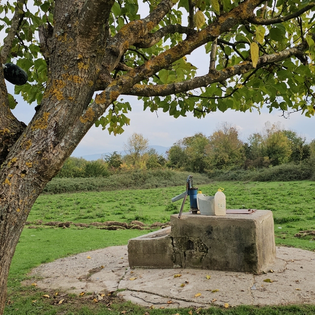Cesedi su kuyusunda bulunan 17 yaşındaki Hasret'in katil zanlısına müebbet...