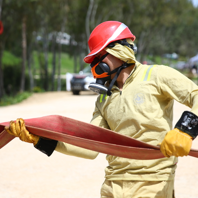 "Türkiye Ormancılık Yarışmaları"nın bölge elemeleri Adana'da başladı