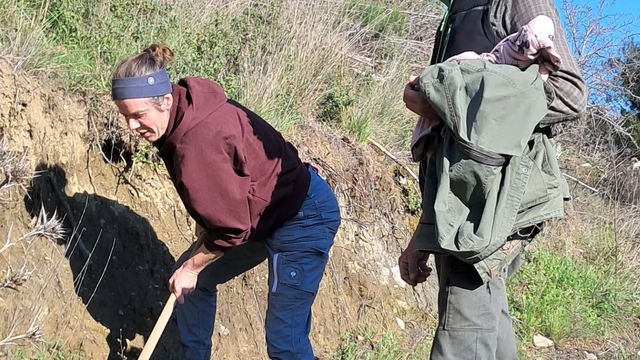 Edremit'te Kazdağı Bal Ormanına uluslararası ilgi