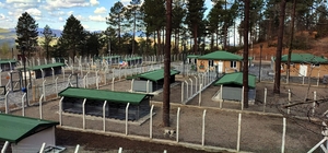 Ünye’de sahipsiz hayvanlar için örnek tesis tamamlanıyor