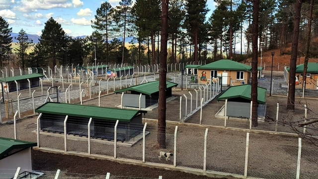 Ünye'de sahipsiz hayvanlar için örnek tesis tamamlanıyor