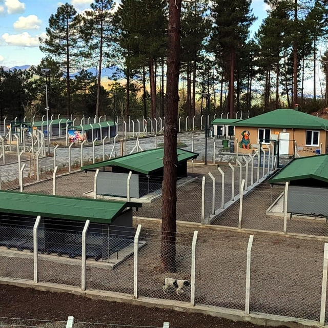 Ünye'de sahipsiz hayvanlar için örnek tesis tamamlanıyor