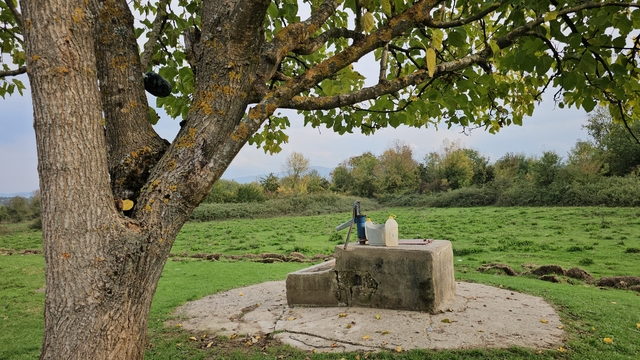 Cesedi su kuyusunda bulunan 17 yaşındaki Hasret'in katil zanlısına müebbet hapis cezası talebi