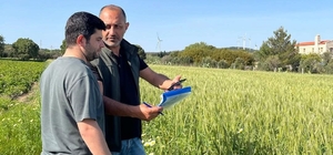 Datça'da tarım arazilerinde üretim planlaması kontrolleri yapıldı