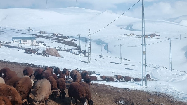 Ağrı'da Nisan ayında kar yağışı yolları kapattı