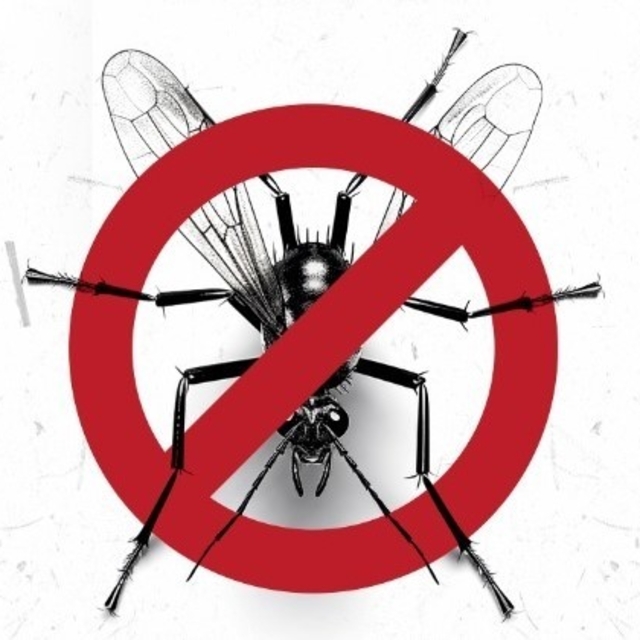 Kuşadası Belediyesi'nden 'Vektörle mücadele' açıklaması
"Mahkeme vektörle m...