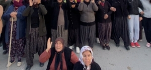 Mersin'de ormanlık alana ekili narenciye bahçelerinin kaldırılması kararına tepki