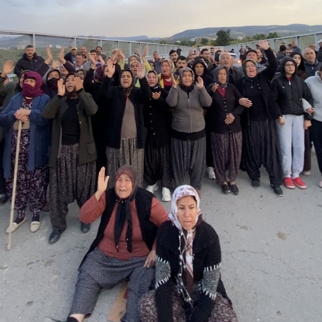 Mersin'de ormanlık alana ekili narenciye bahçelerinin kaldırılması kararına...