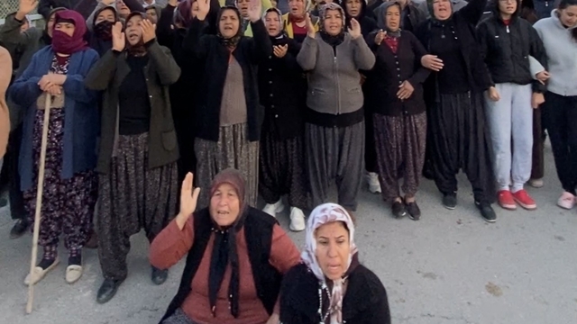 Mersin'de ormanlık alana ekili narenciye bahçelerinin kaldırılması kararına tepki