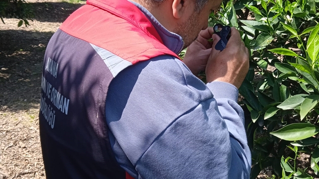 Tarımda biyolojik mücadele seferberliği