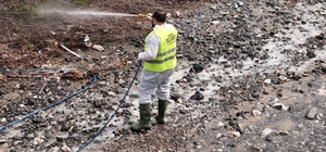 Hatay Büyükşehir Belediyesi haşereyle mücadele çalışmalarına devam ediyor