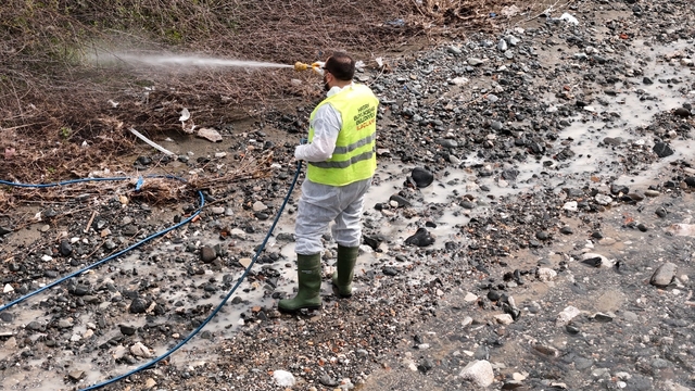 Hatay Büyükşehir Belediyesi haşereyle mücadele çalışmalarına devam ediyor